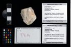 Foto (Objekt + Etikett) von Mundopsidae indet.  (NHMW-GEO-2014-0194-0614)